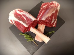 Palice Bio
