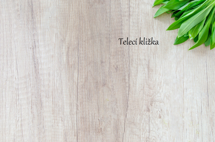 detail Bio Telecí kližka